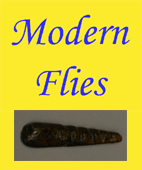 MODERN FLIES MN